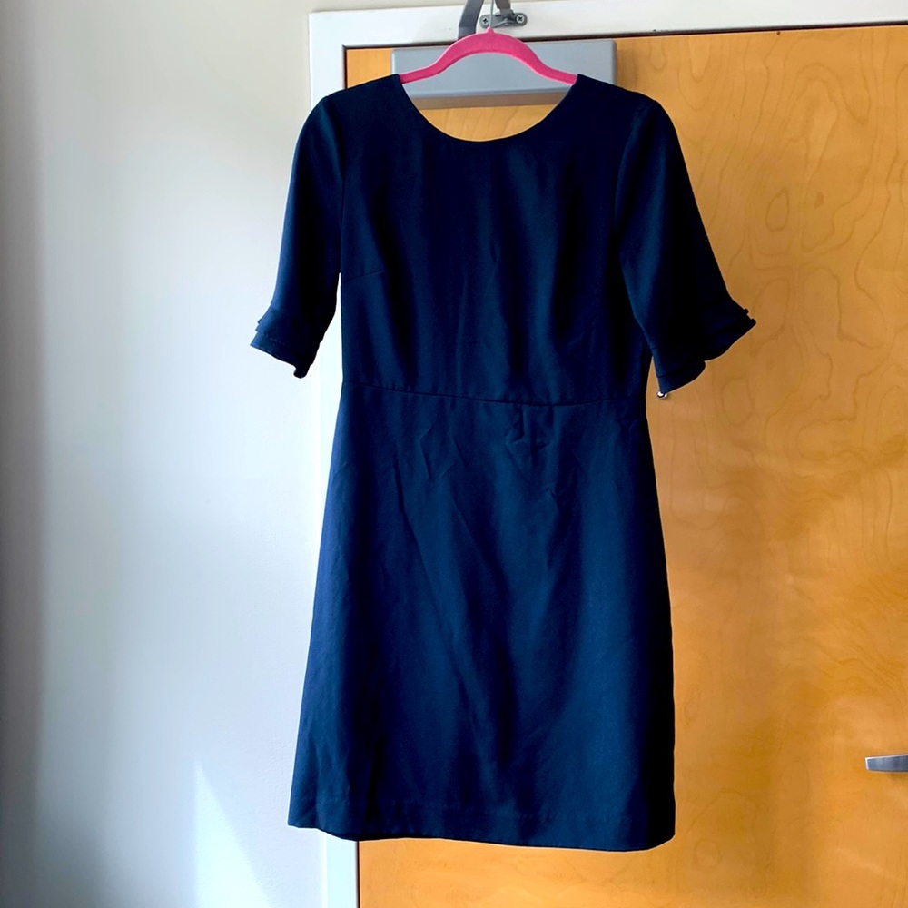 Banana Republic Navy blue dress with ruffle sleeves